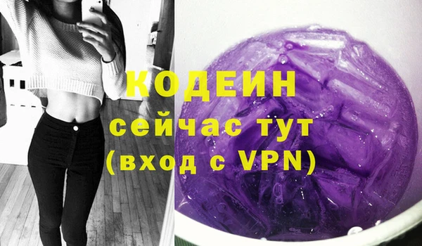 дживик Няндома