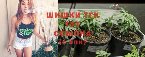 бошки Новозыбков