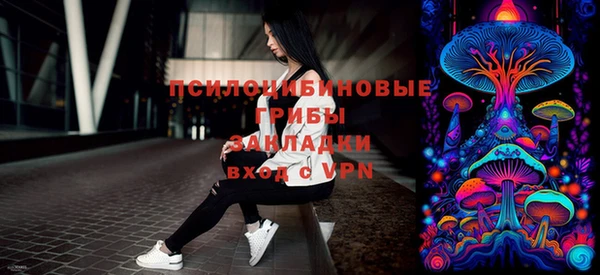 ПСИЛОЦИБИНОВЫЕ ГРИБЫ Новокубанск