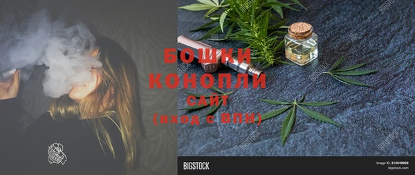 бошки Новозыбков