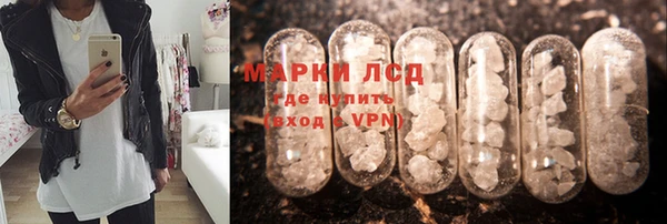 ПСИЛОЦИБИНОВЫЕ ГРИБЫ Новокубанск